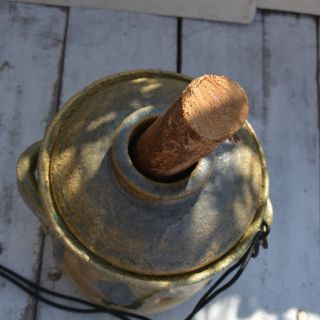 Nový kvašáček s rozteklými tulipány, které nakonec jsou úplně nová rostlina. Japonská mořská řasa....